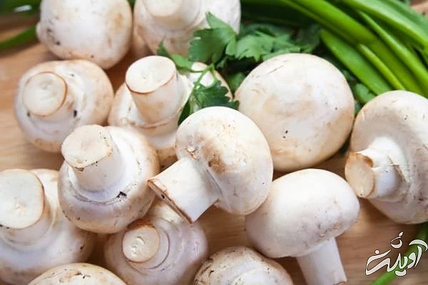 فریز کردن قارچ ها